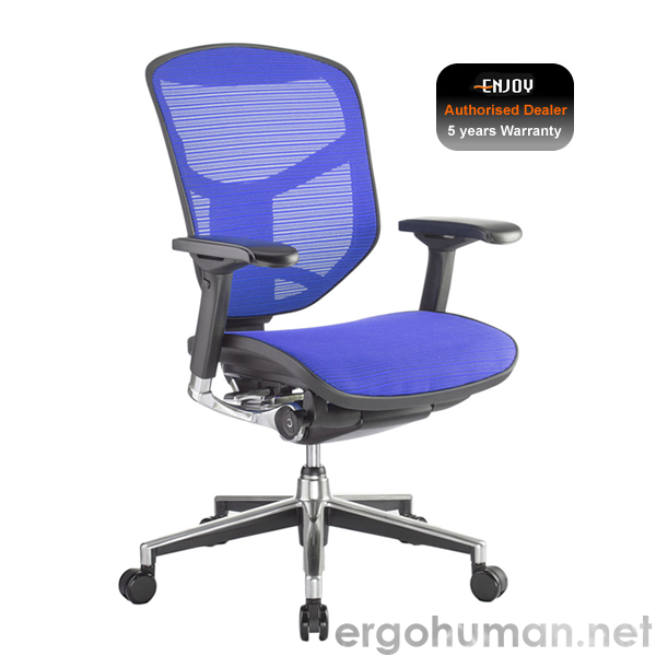 Enjoy Blue Mesh Office Chair