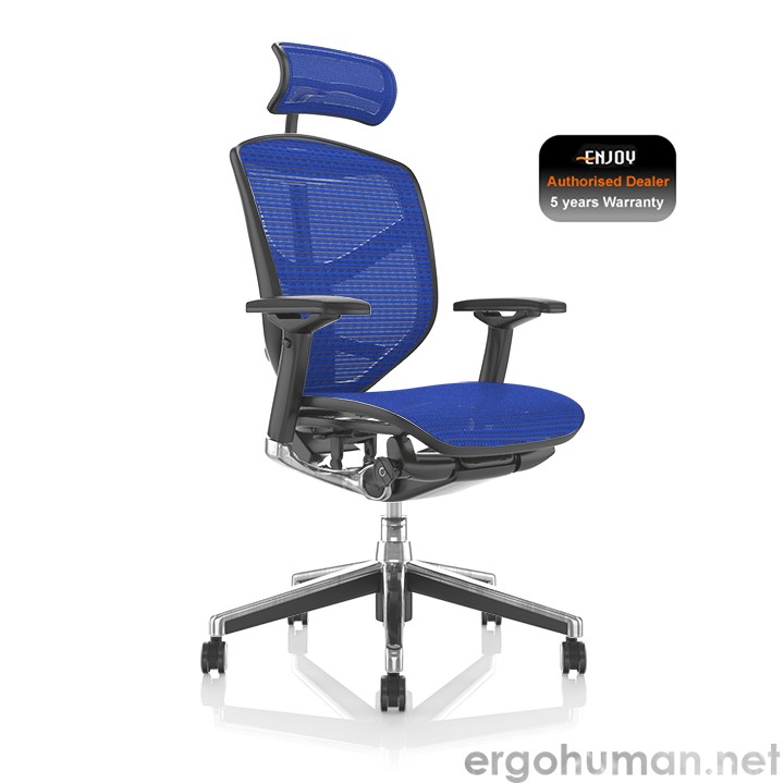Enjoy Blue Mesh Office Chairs