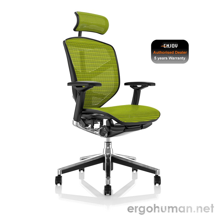 Enjoy Green Mesh Office Chair
